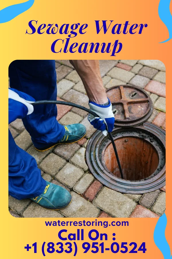 Sewage Water Cleanup in Arial, SC