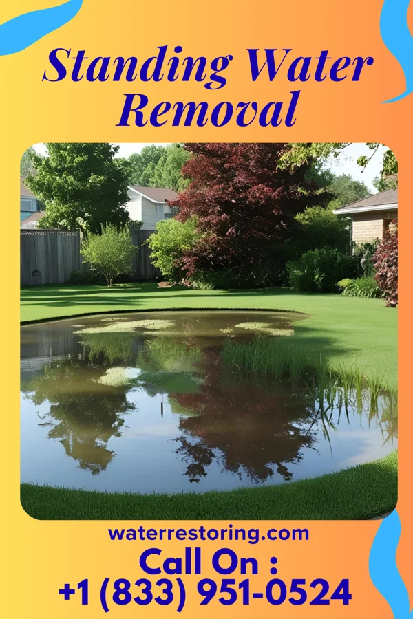 Standing Water Removal in Arial, SC